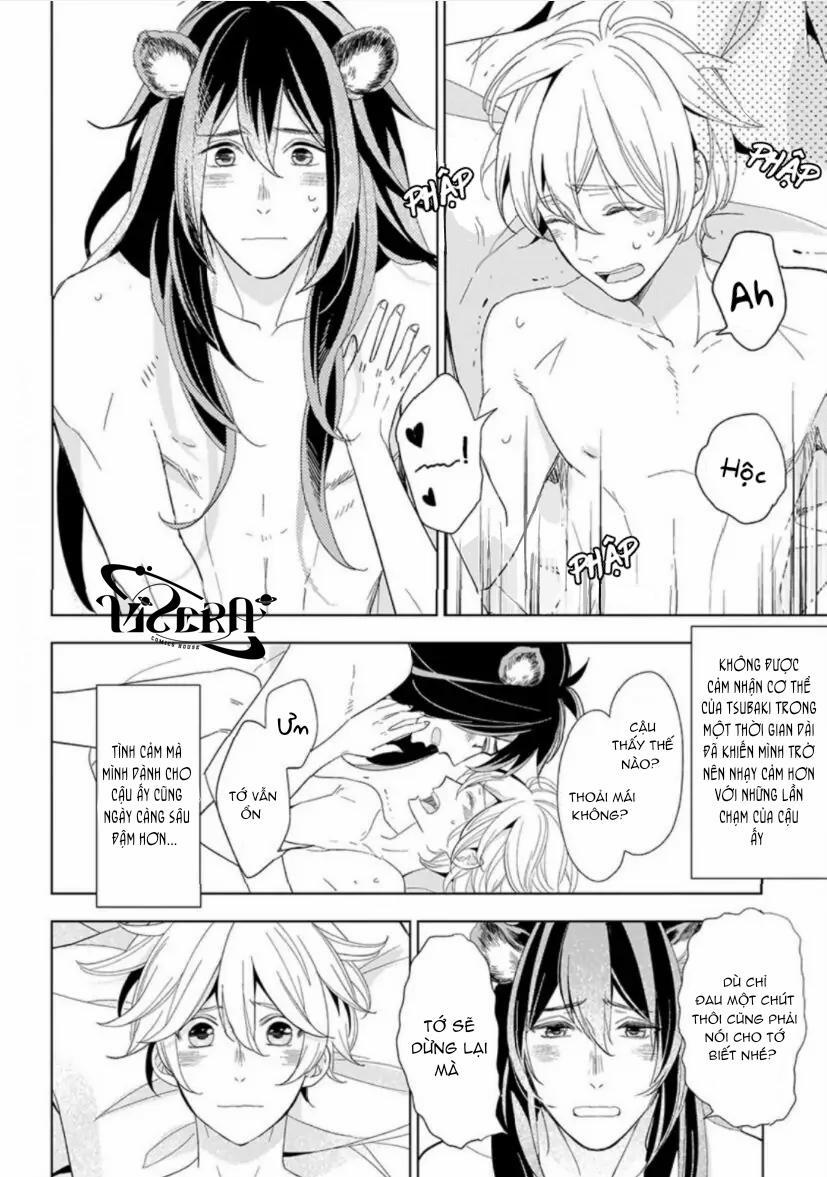 Vào Một Đêm Đầy Sao, Tình Yêu Đã Đến 4 trang 63