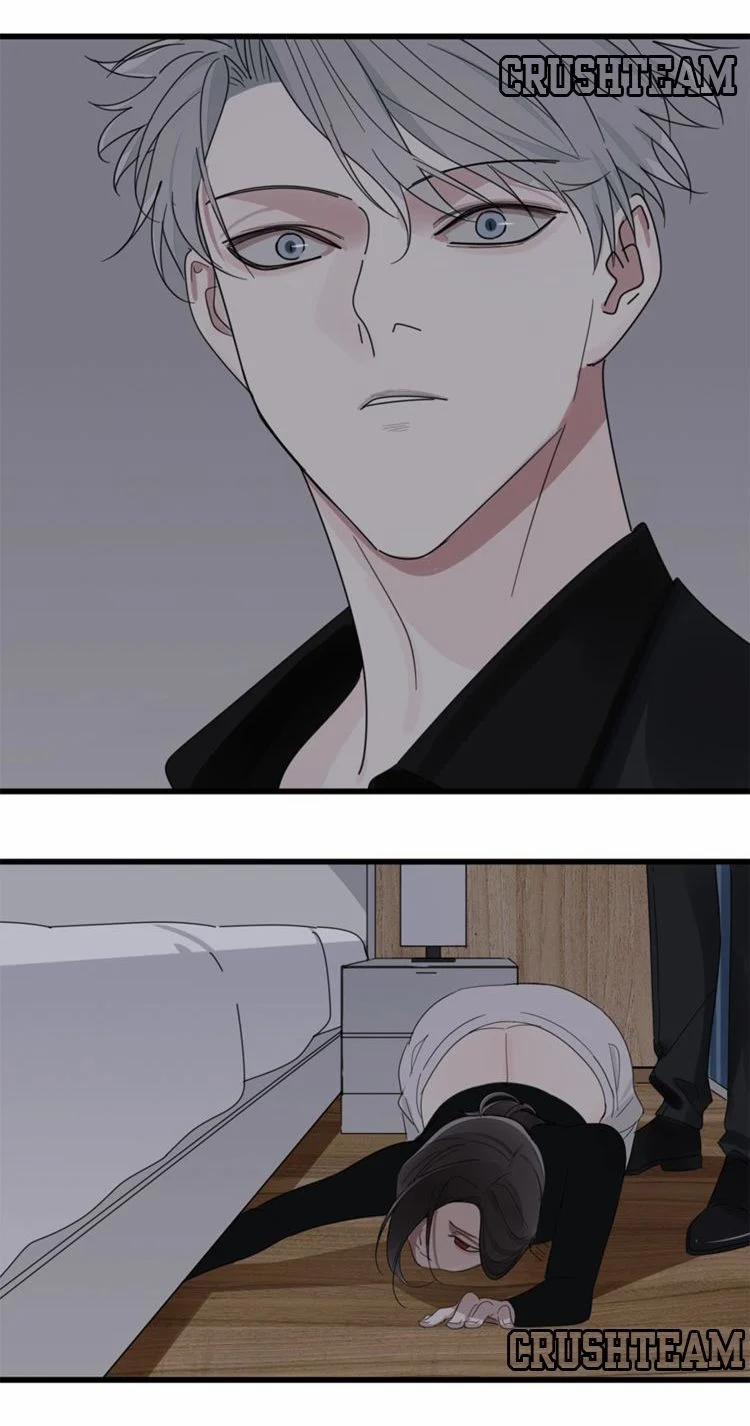 Vật Trong Tay 10 trang 44