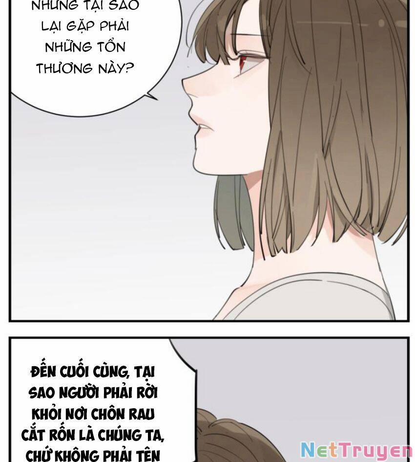 Vật Trong Tay 77 trang 16