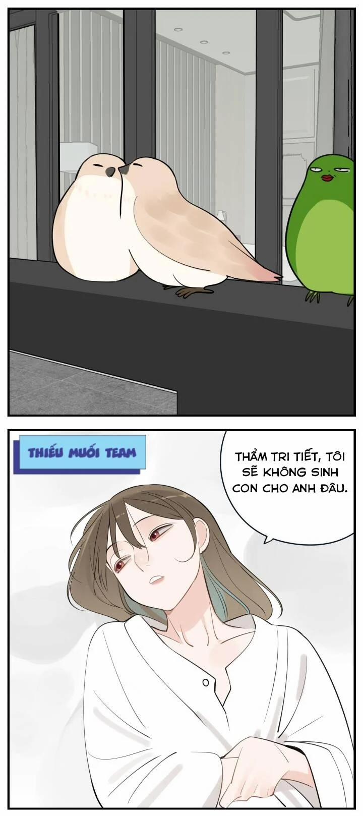 Vật Trong Tay 85 trang 16