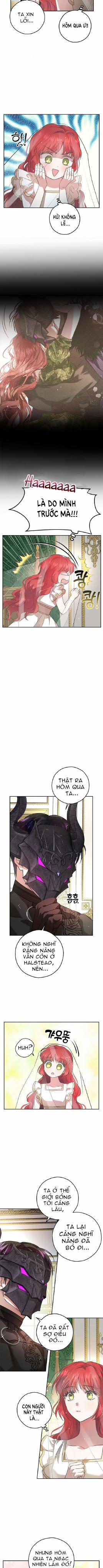 Vẻ Đẹp Bí Ẩn Của Chồng Tôi 20 trang 9