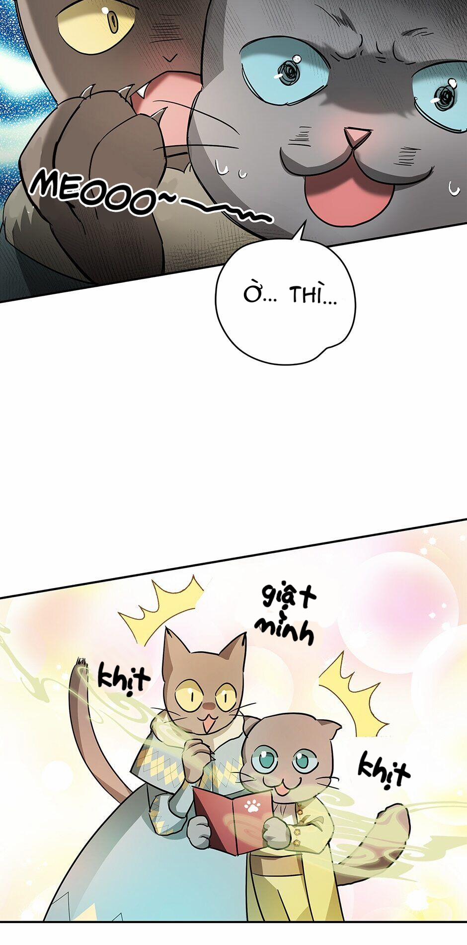 Vẻ Đẹp Bí Ẩn Của Chồng Tôi 35 trang 47