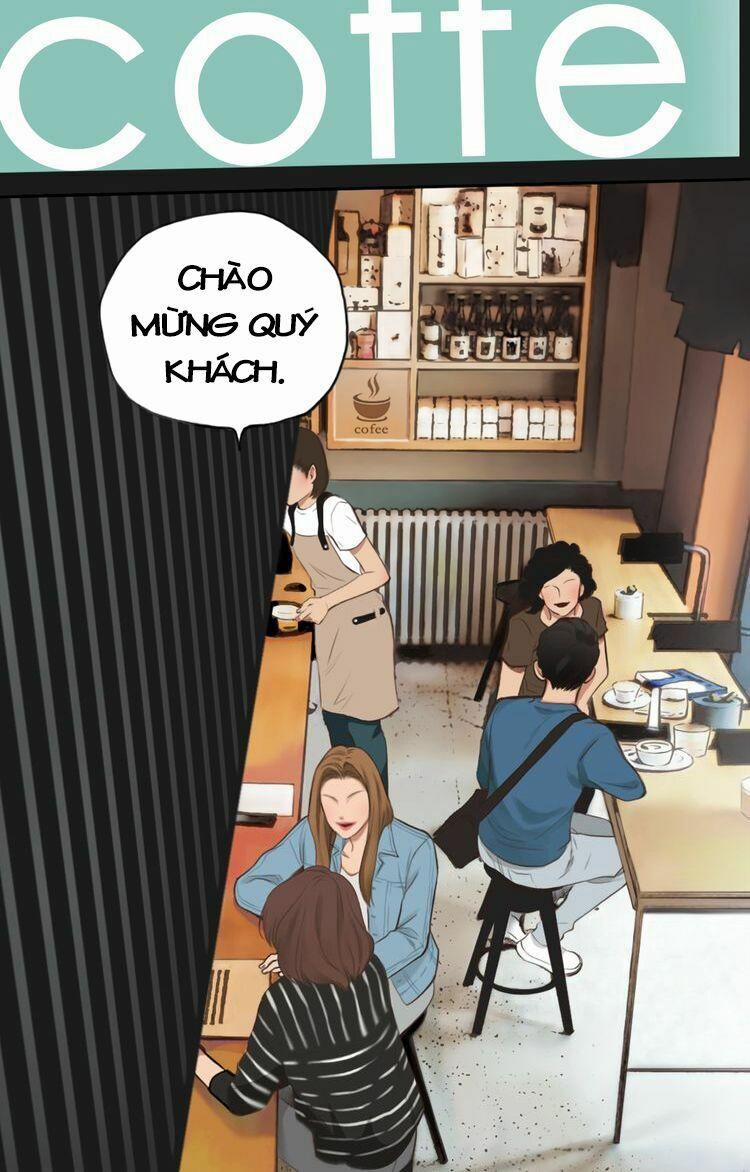 Vẻ Đẹp Giả Dối 3 trang 0