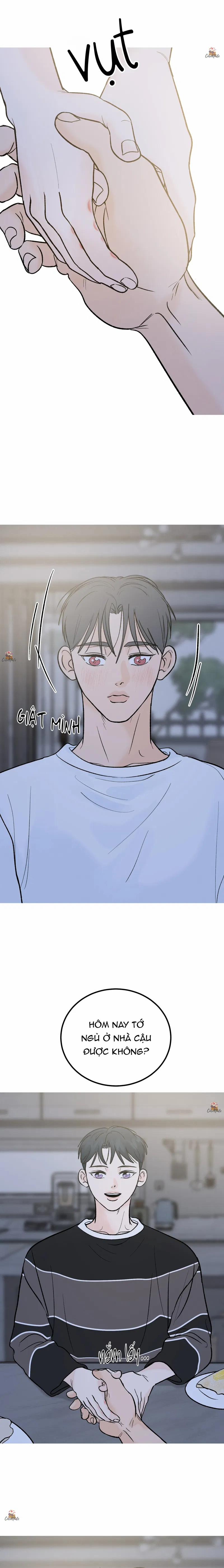 Vết Đỏ 13 trang 2