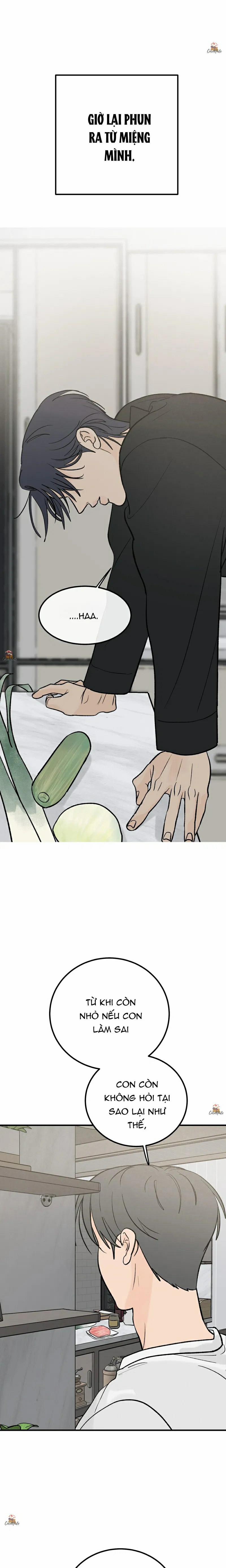 Vết Đỏ 16 trang 1