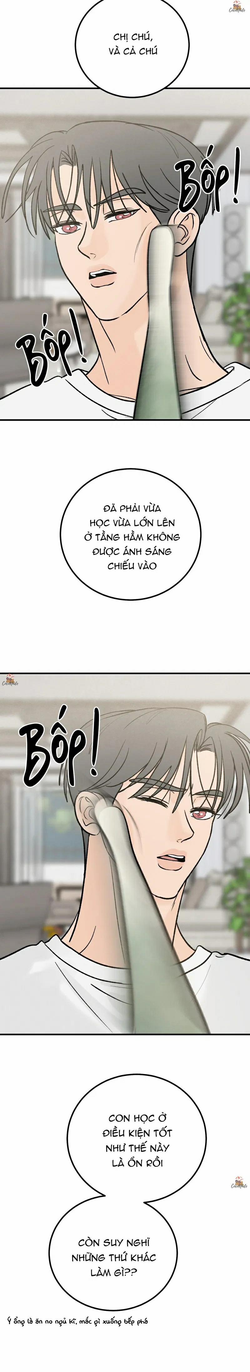 Vết Đỏ 16 trang 4