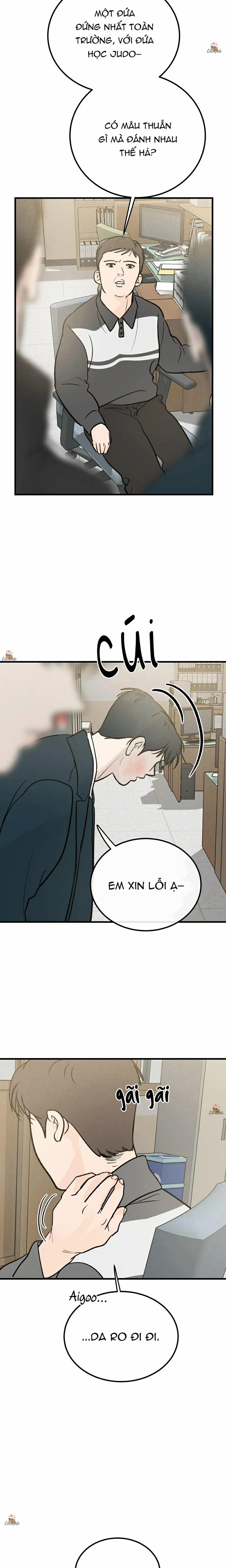 Vết Đỏ 19 trang 15