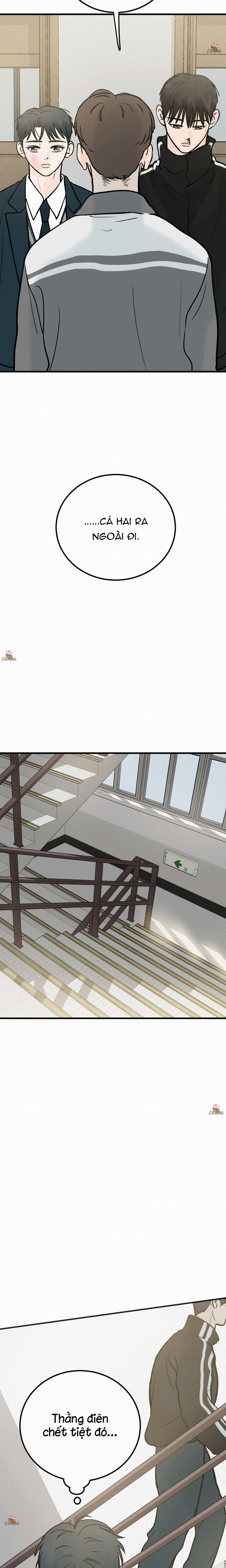 Vết Đỏ 19 trang 21