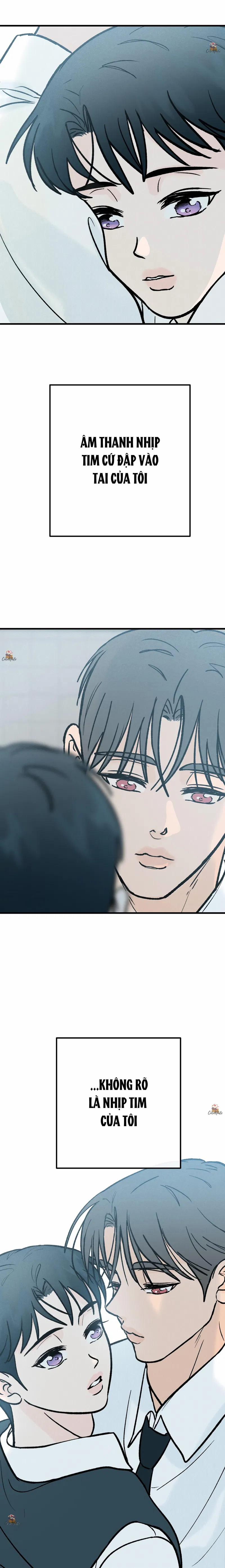 Vết Đỏ 20 trang 7