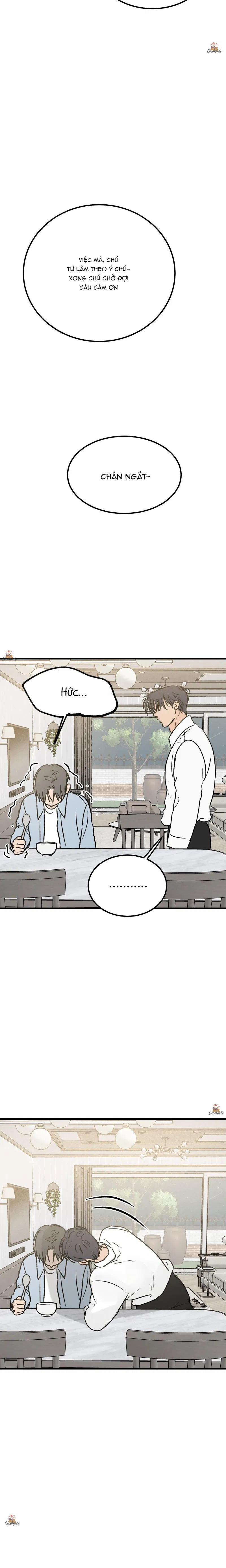 Vết Đỏ 25 trang 15