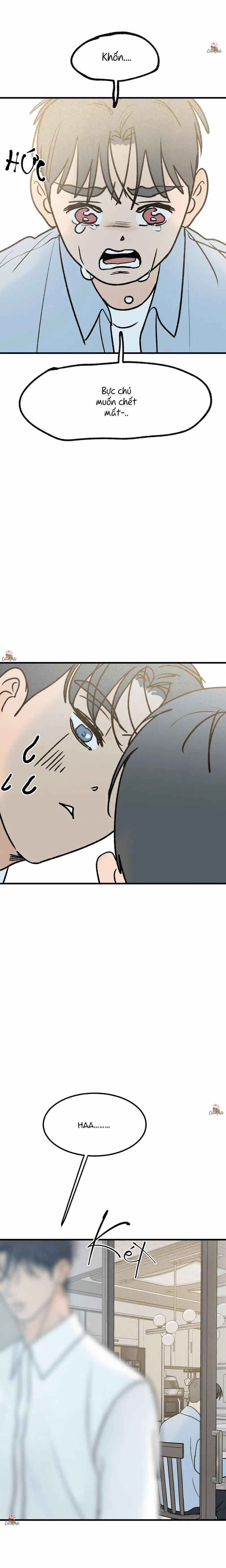 Vết Đỏ 25 trang 16