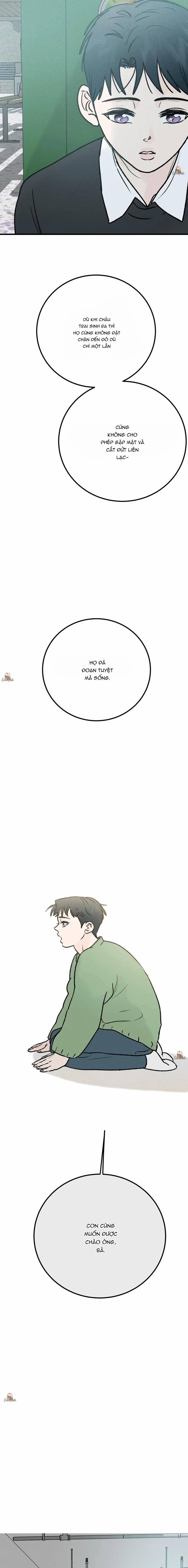 Vết Đỏ 26 trang 19