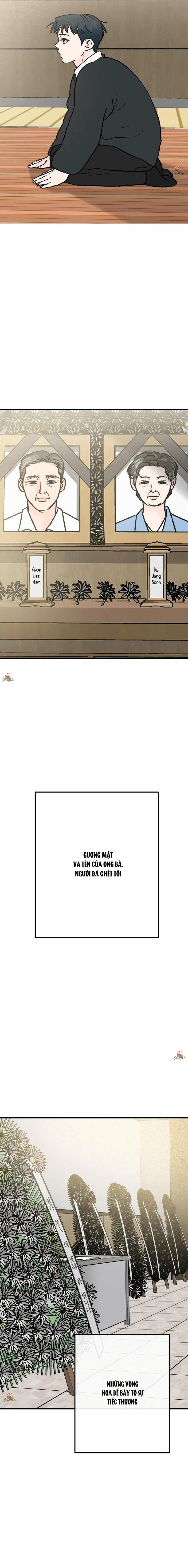 Vết Đỏ 26 trang 8