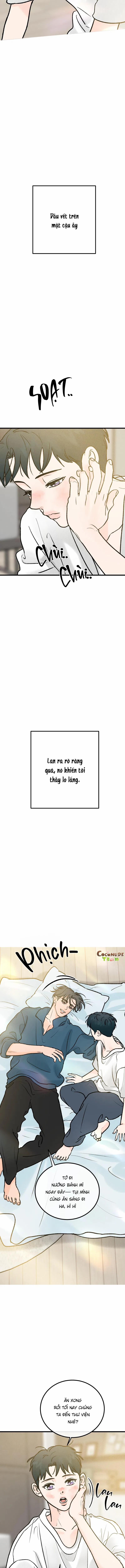 Vết Đỏ 32 trang 8