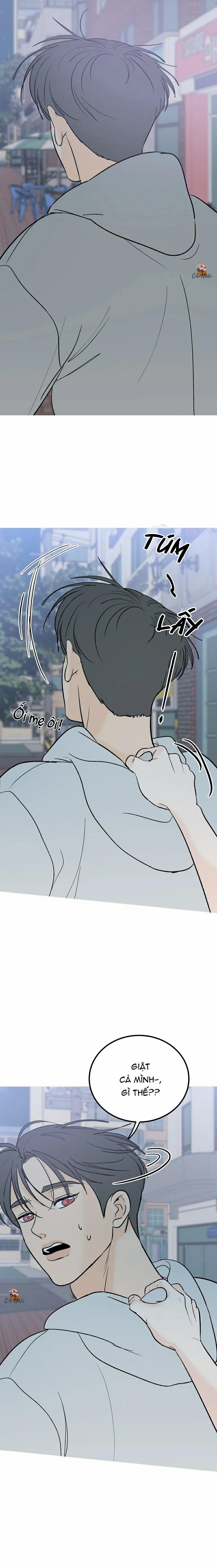 Vết Đỏ 4 trang 3