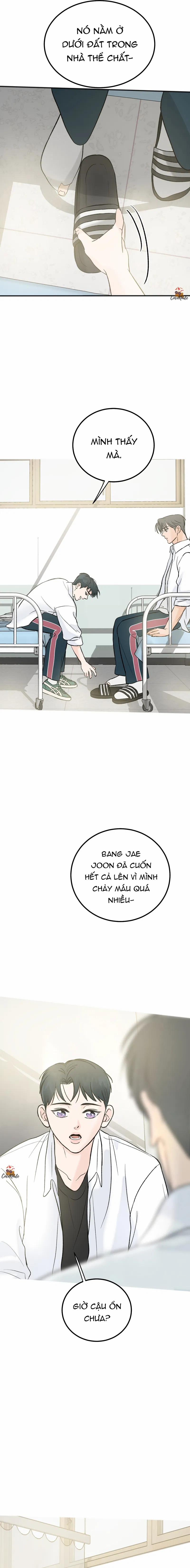 Vết Đỏ 6 trang 19