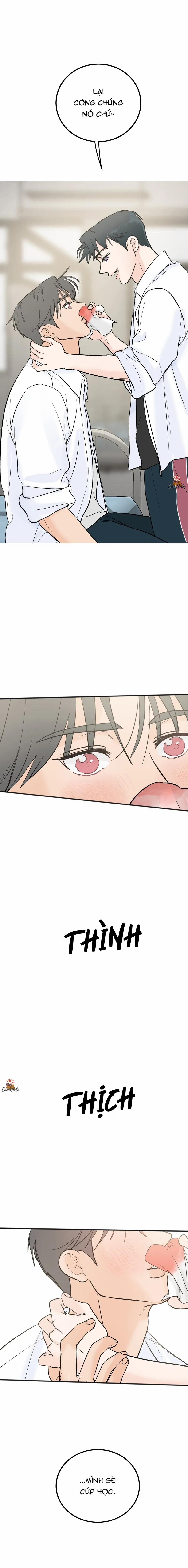 Vết Đỏ 7 trang 1