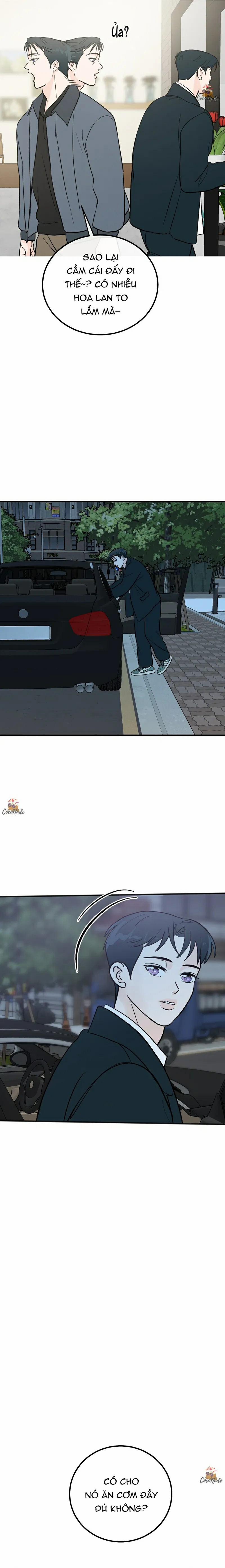 Vết Đỏ 9 trang 7