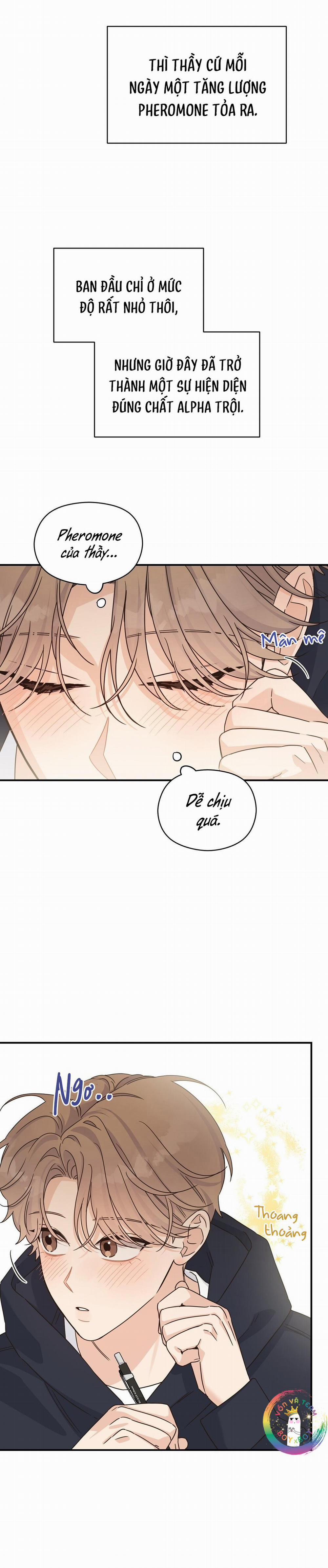 ✿ Vết Thương Alpha ✿ 15 trang 3