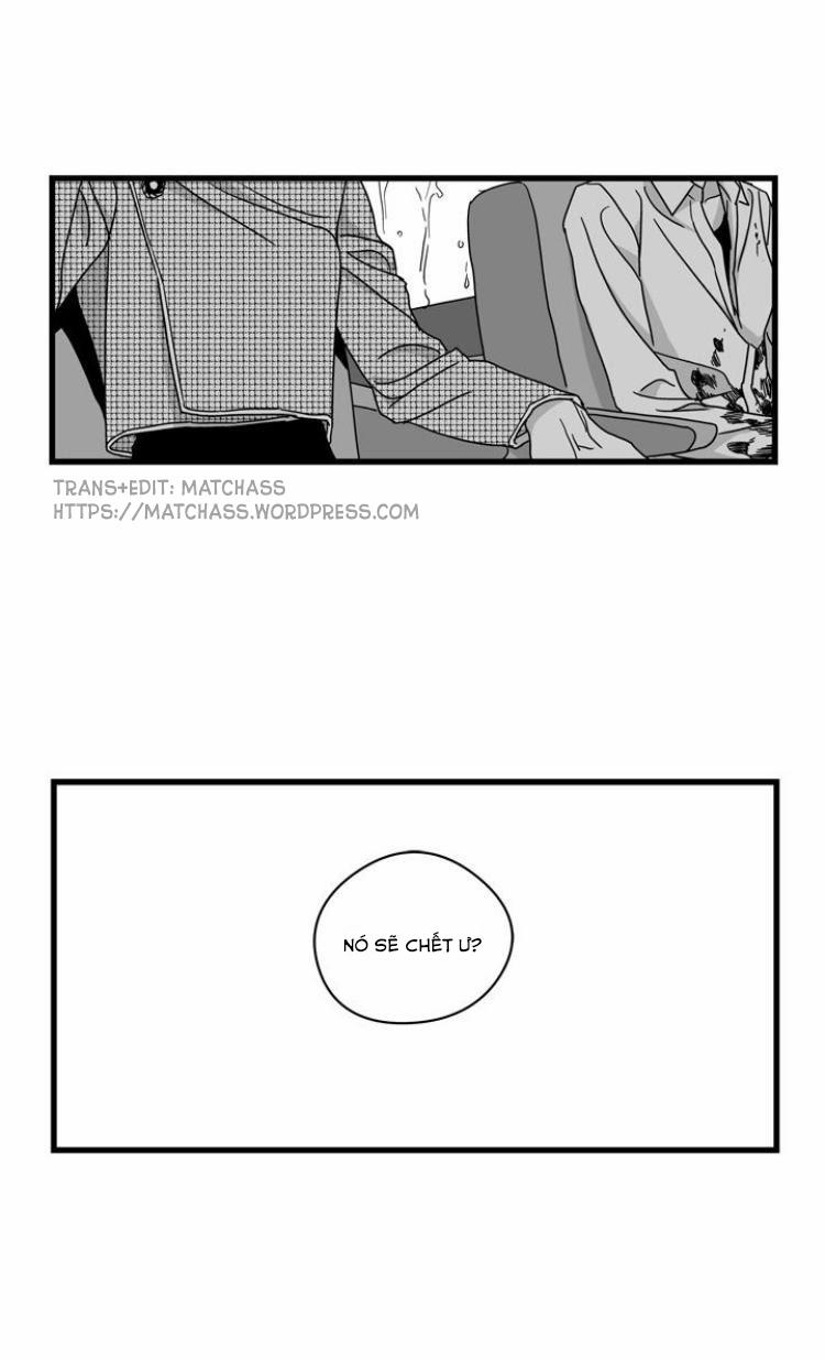 Vết Thương Lòng (Stigma) 22 trang 2