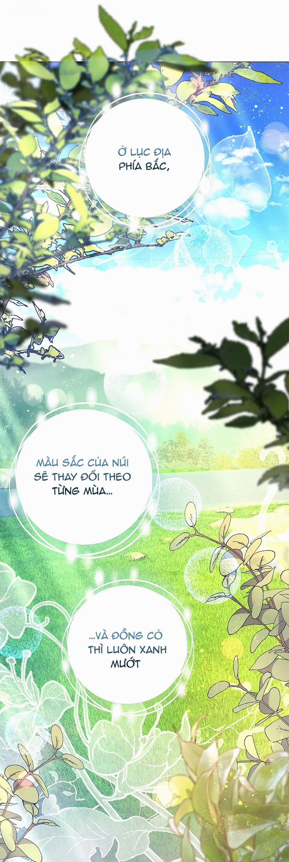 Vết Trăng 6.2 trang 25