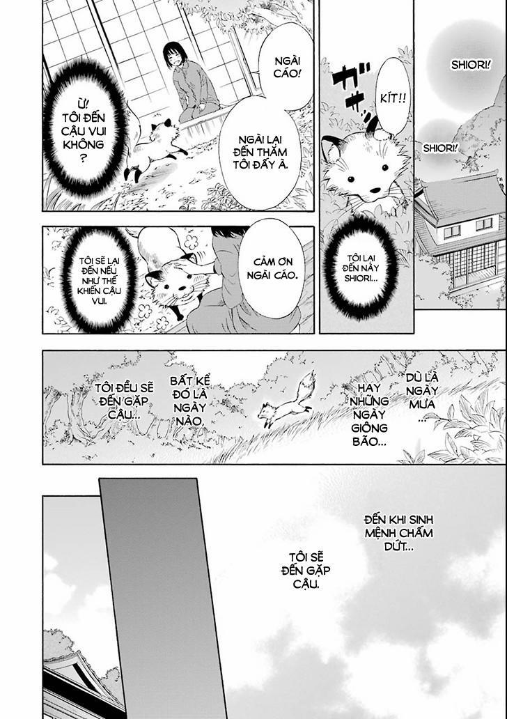 Vị Thần Ma Cà Rồng 2 trang 13