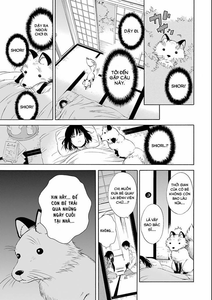 Vị Thần Ma Cà Rồng 2 trang 14