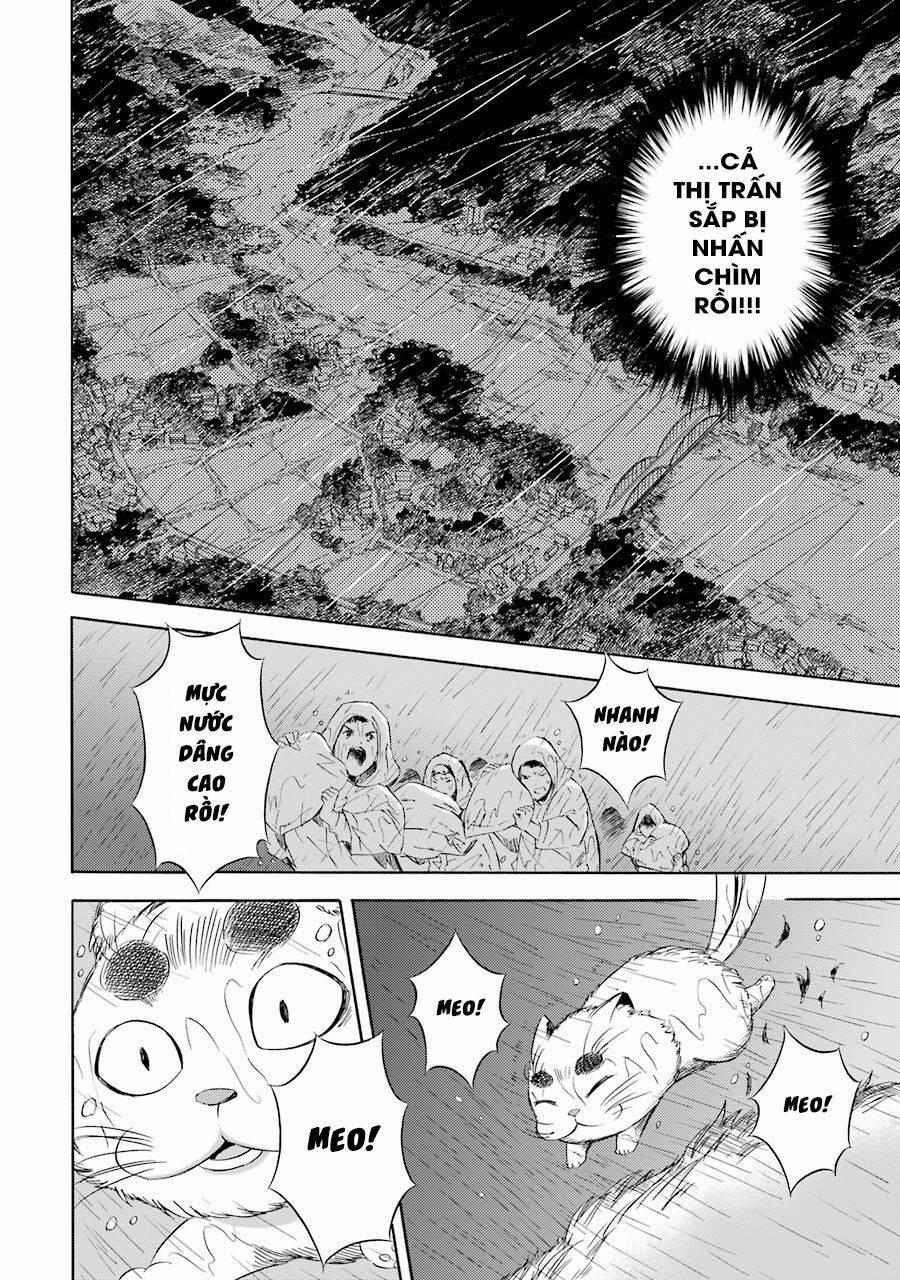 Vị Thần Ma Cà Rồng 20 trang 6