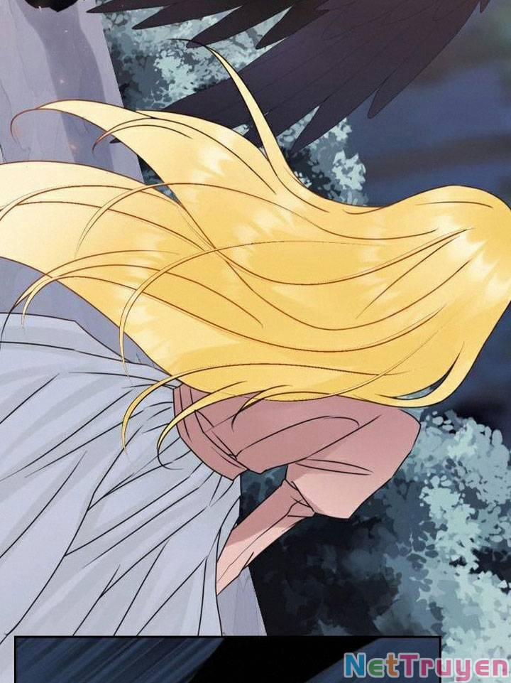 Vị Thánh Ẩn 19 trang 11