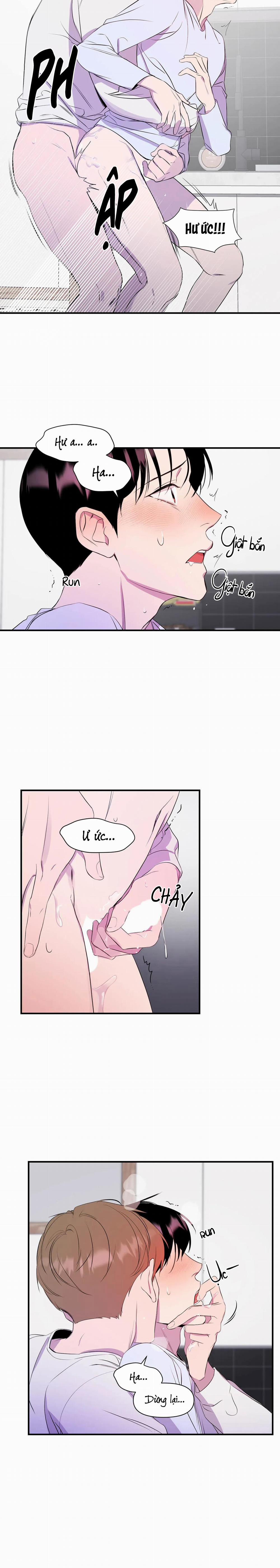 Vỏ Bọc Hoàn Hảo 6 trang 3