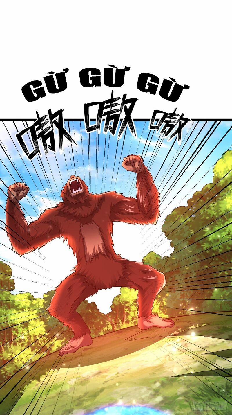 Võ Đạo Đỉnh Phong 27 trang 20