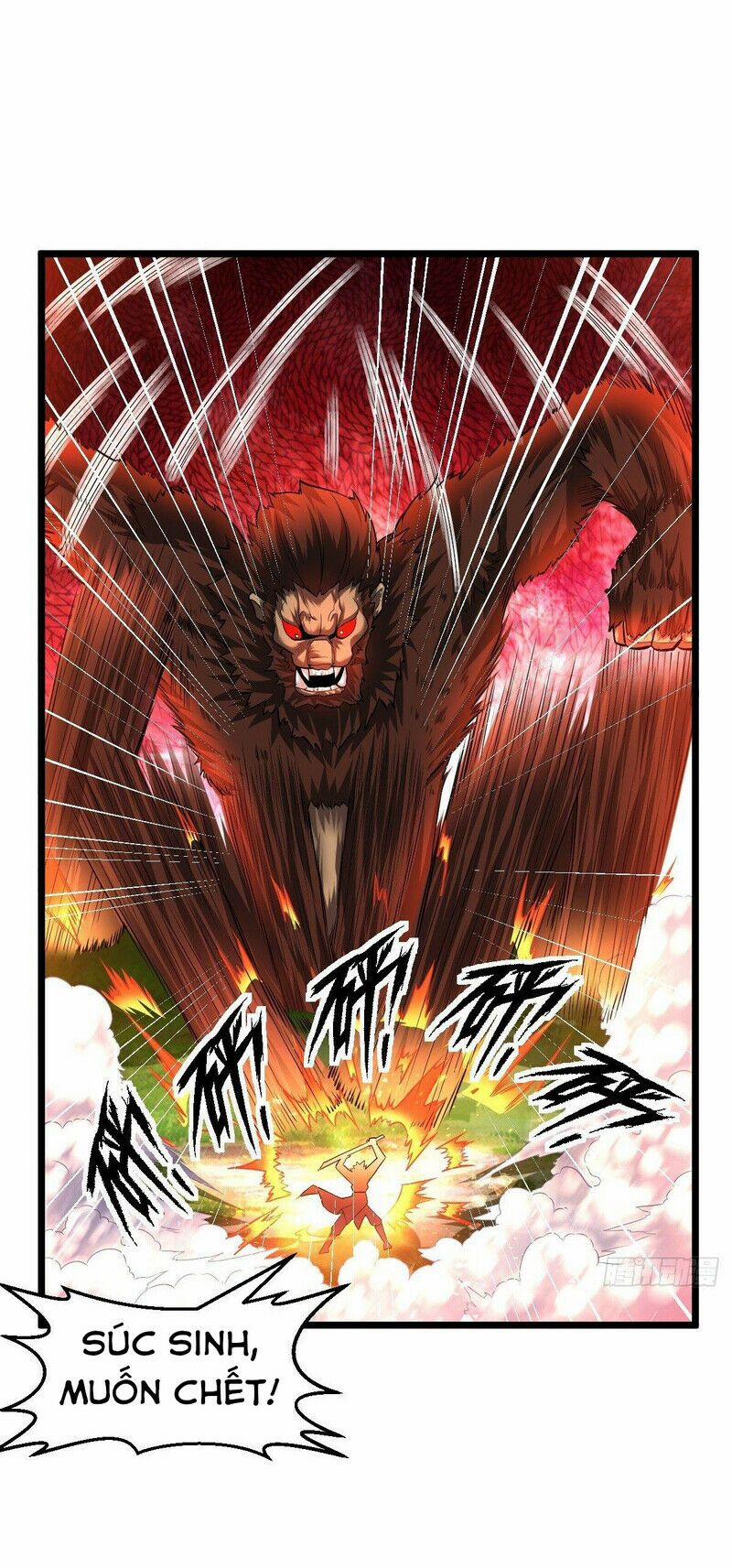 Võ Đạo Đỉnh Phong 28 trang 33