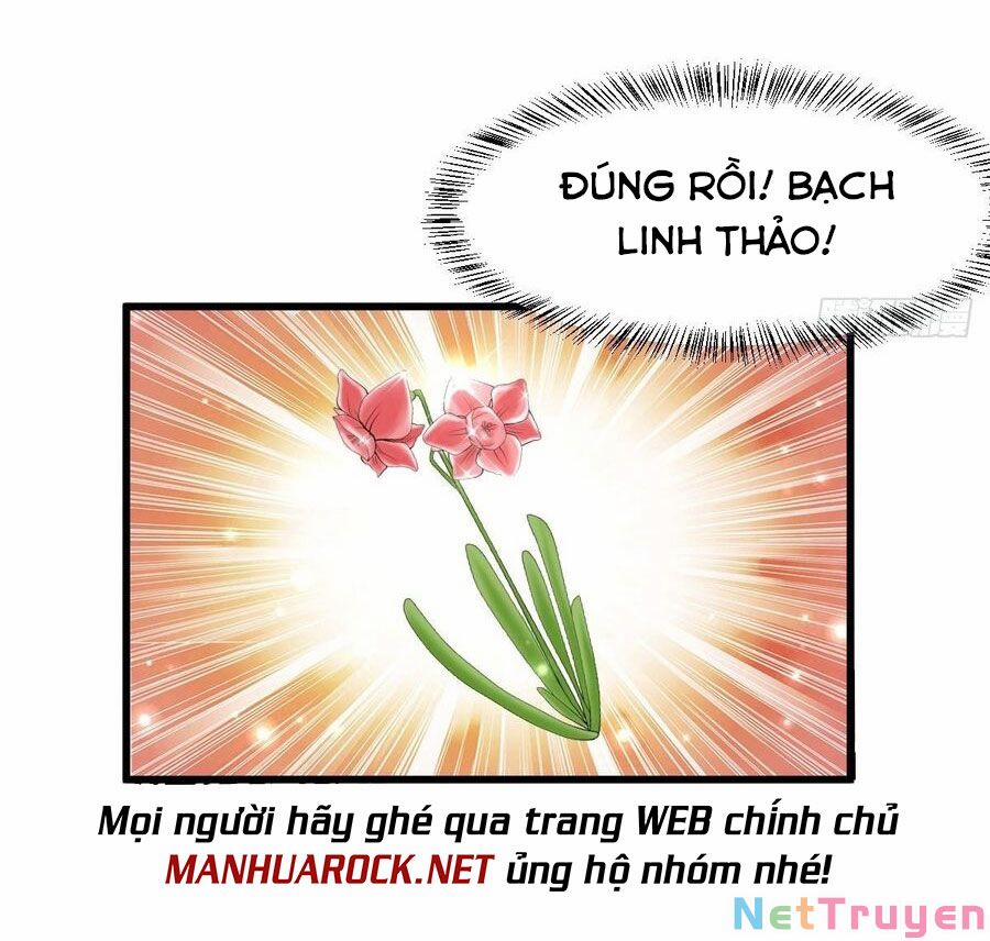 Võ Đạo Đỉnh Phong 3 trang 11