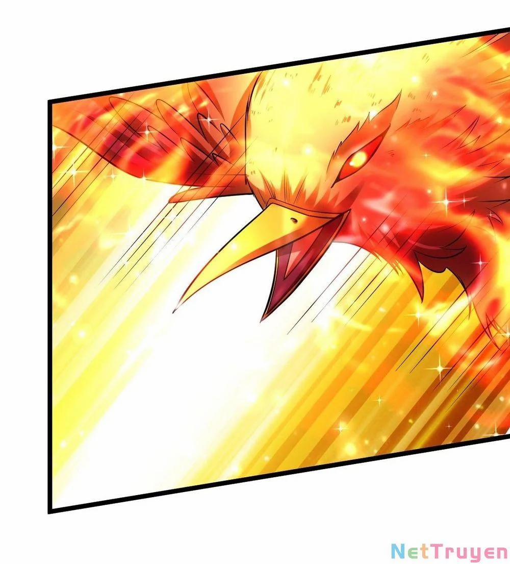 Võ Đạo Đỉnh Phong 41 trang 3