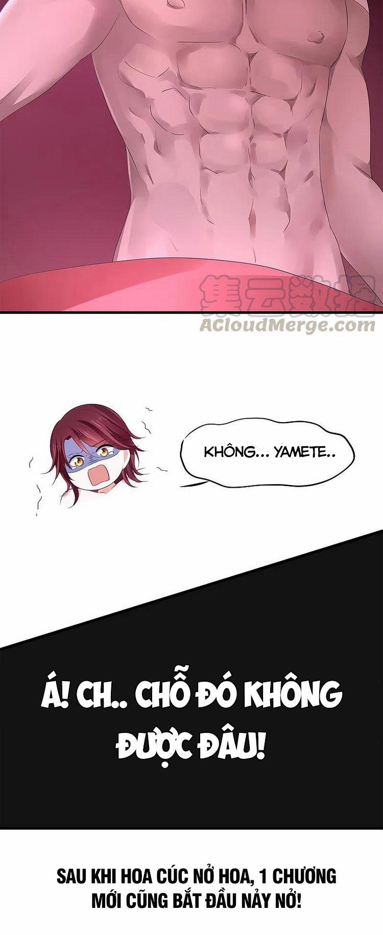 Vô Địch Học Bạ Hệ Thống 116 trang 17