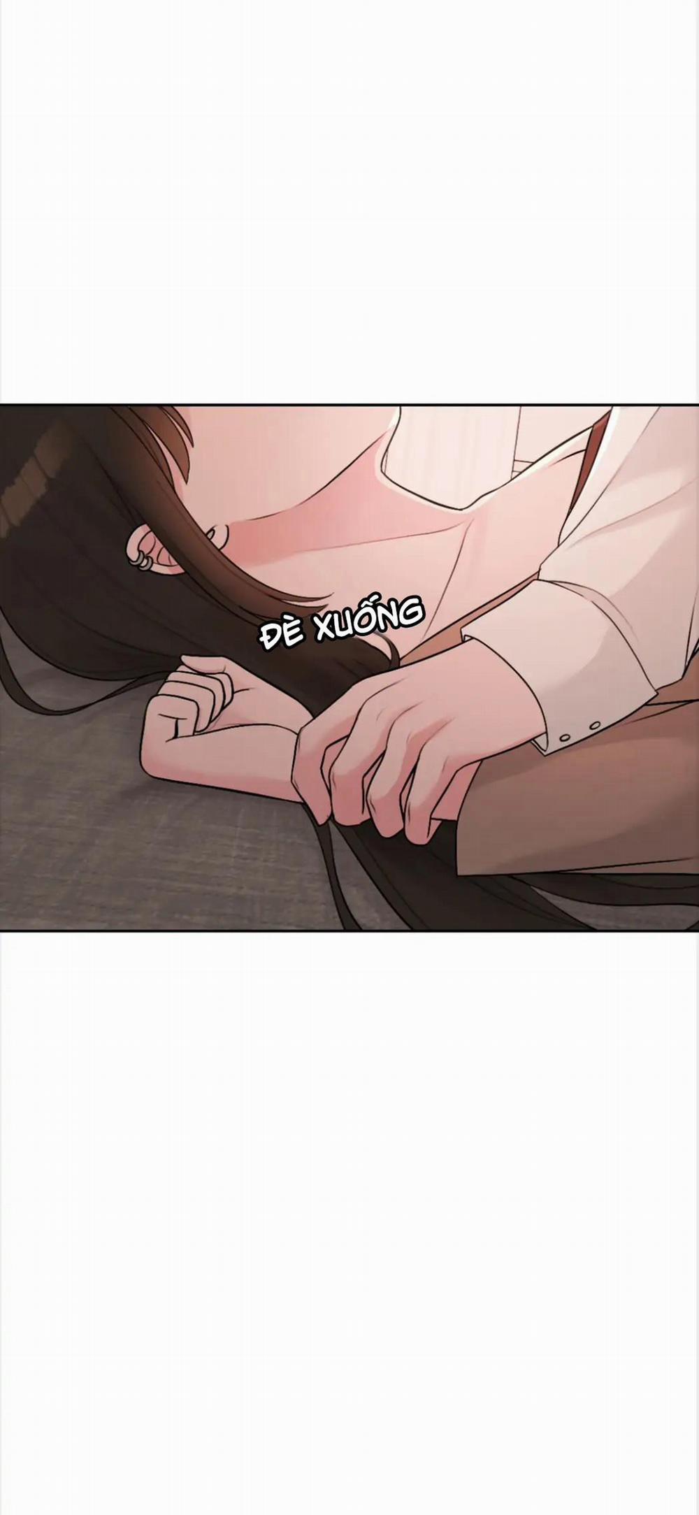 Vô Tình 34 0 34 0 0 nhe trang 24