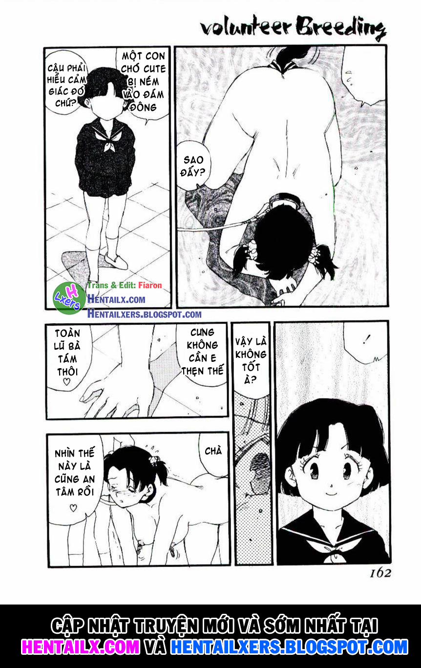 Volunteer Breeding 8 trang 16