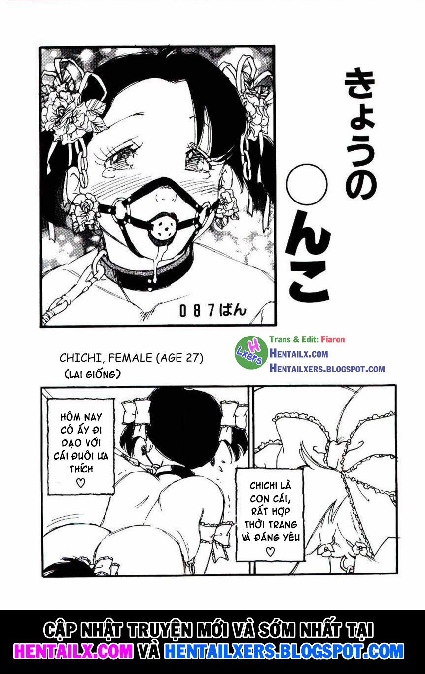 Volunteer Breeding 8 trang 26