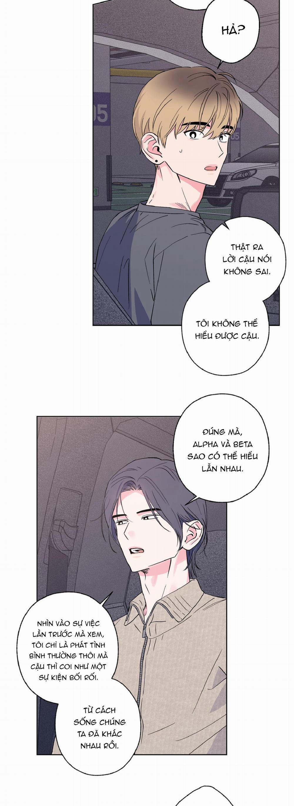 Vụ Bê Bối Của Beta 6 trang 25