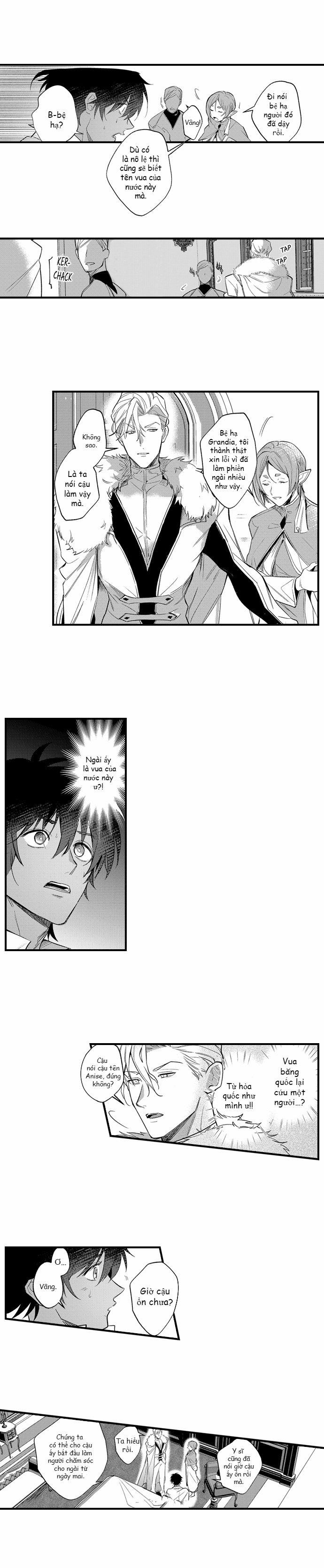 Vua Băng Và Nô Lệ Lửa 2 trang 9