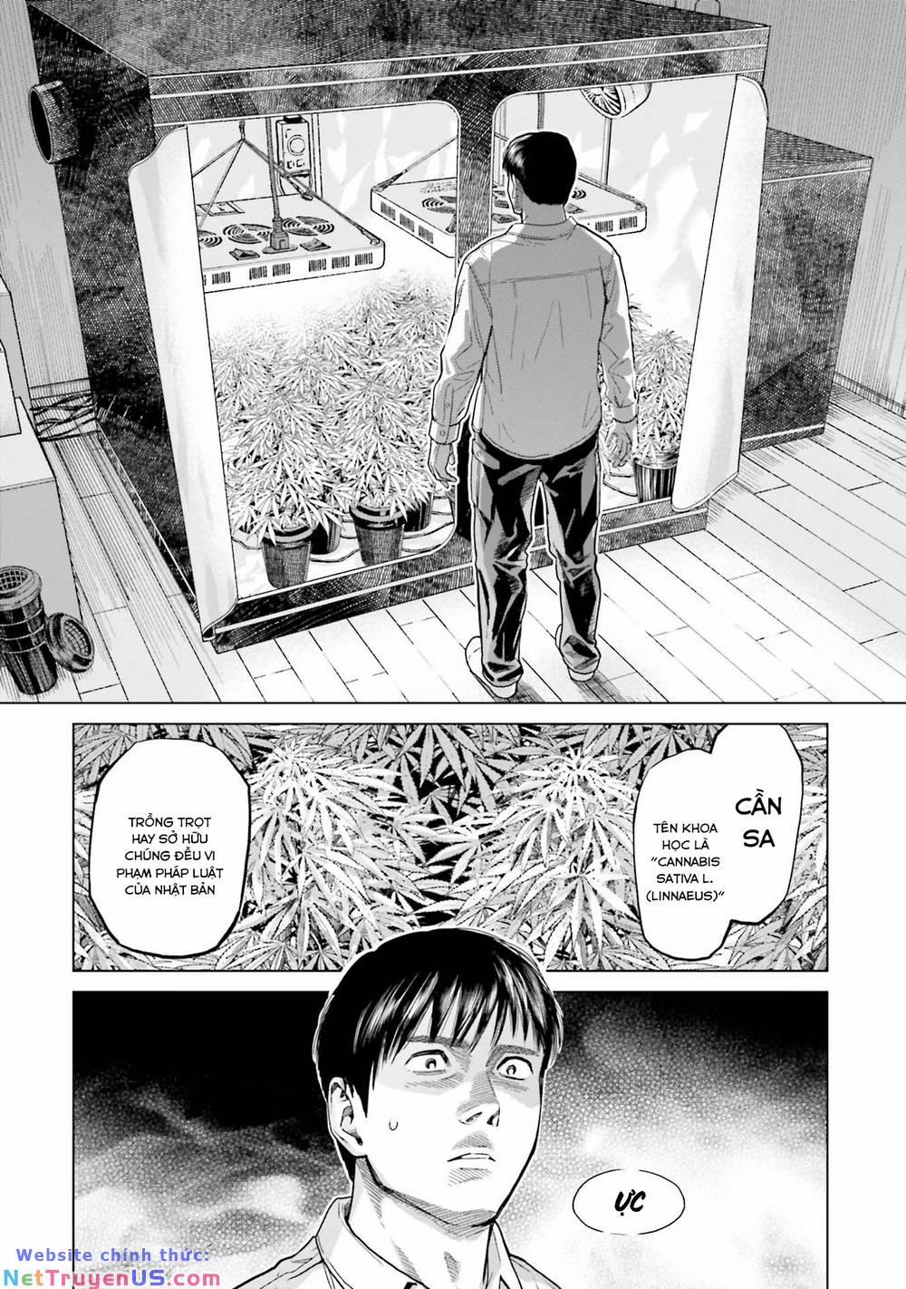 Vua Cần Sa 3 trang 12