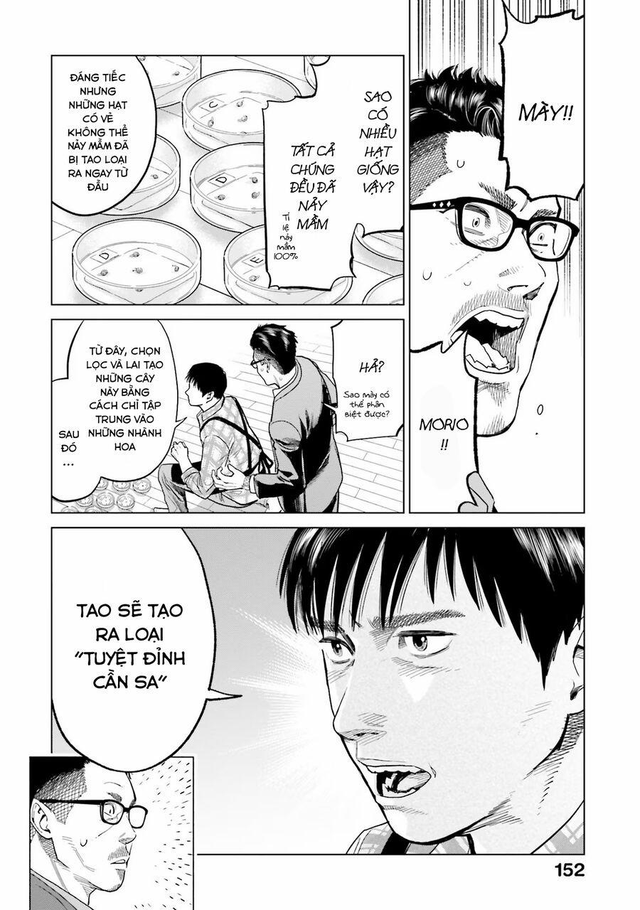 Vua Cần Sa 7 trang 7