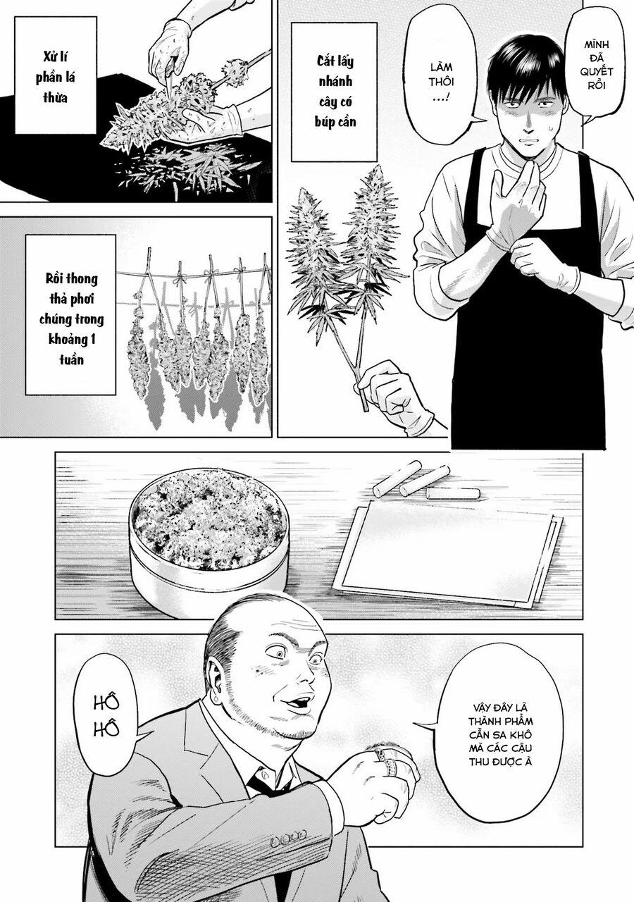 Vua Cần Sa 9 trang 7