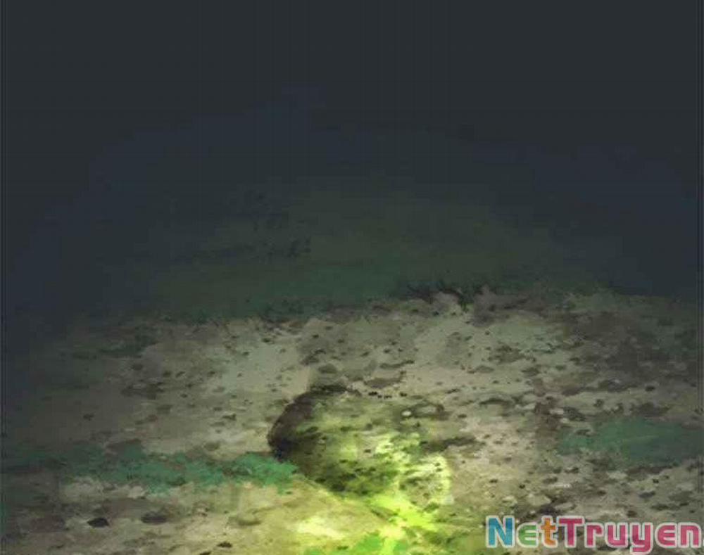 Vua Thăng Cấp 105 trang 3