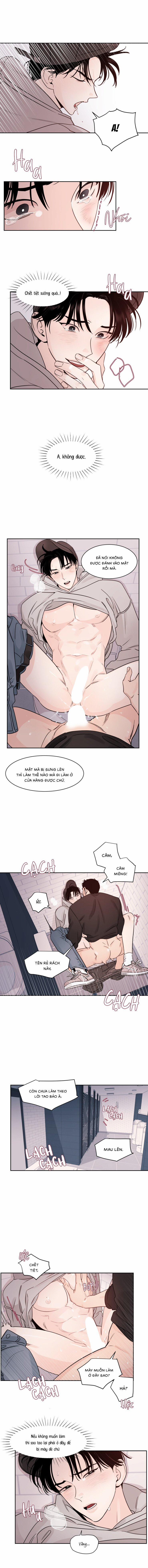 Vùng Tối 9 trang 2