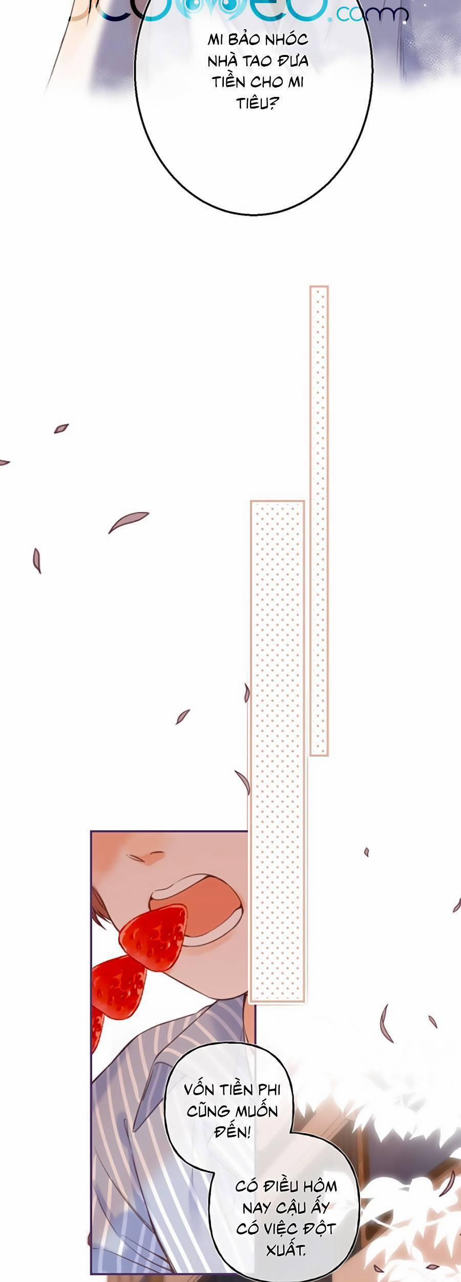 Vụng Trộm Giấu Không Được 33 trang 13