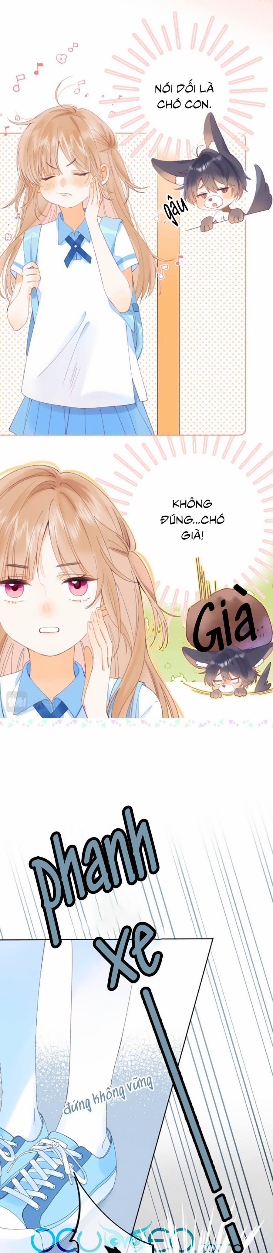 Vụng Trộm Giấu Không Được 4 trang 3