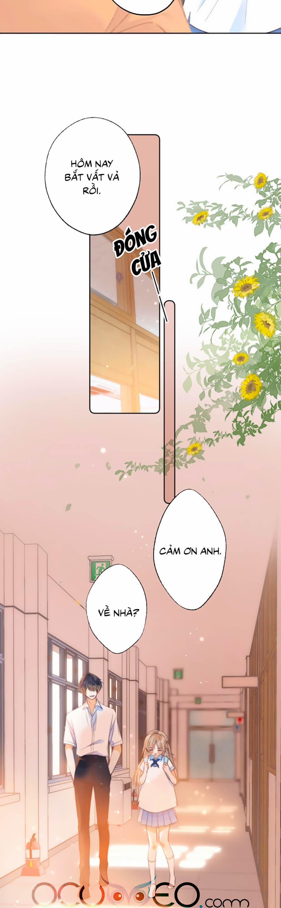 Vụng Trộm Giấu Không Được 6 trang 7