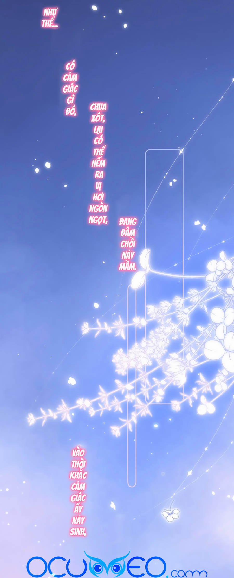 Vụng Trộm Giấu Không Được 7 trang 13