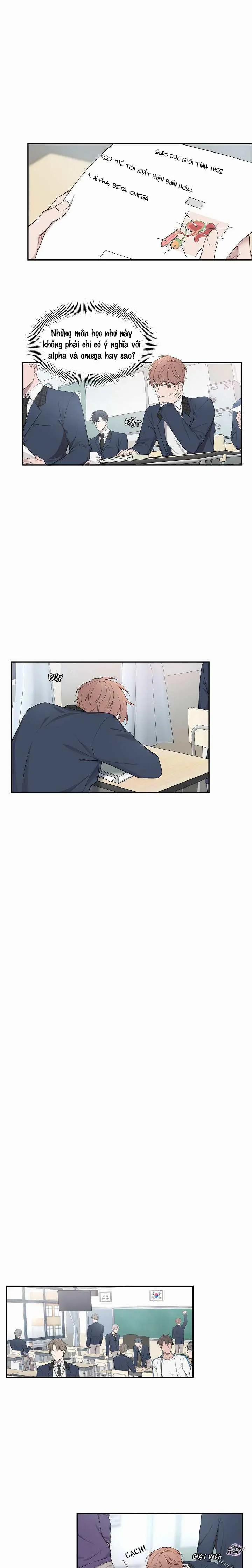 Vùng Vẫy 1 trang 8